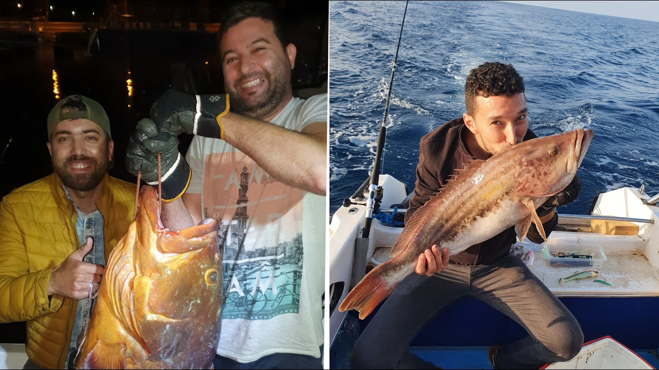 Mérou 24 kg + Badech 6kg وأخيرا ملك الأسماك