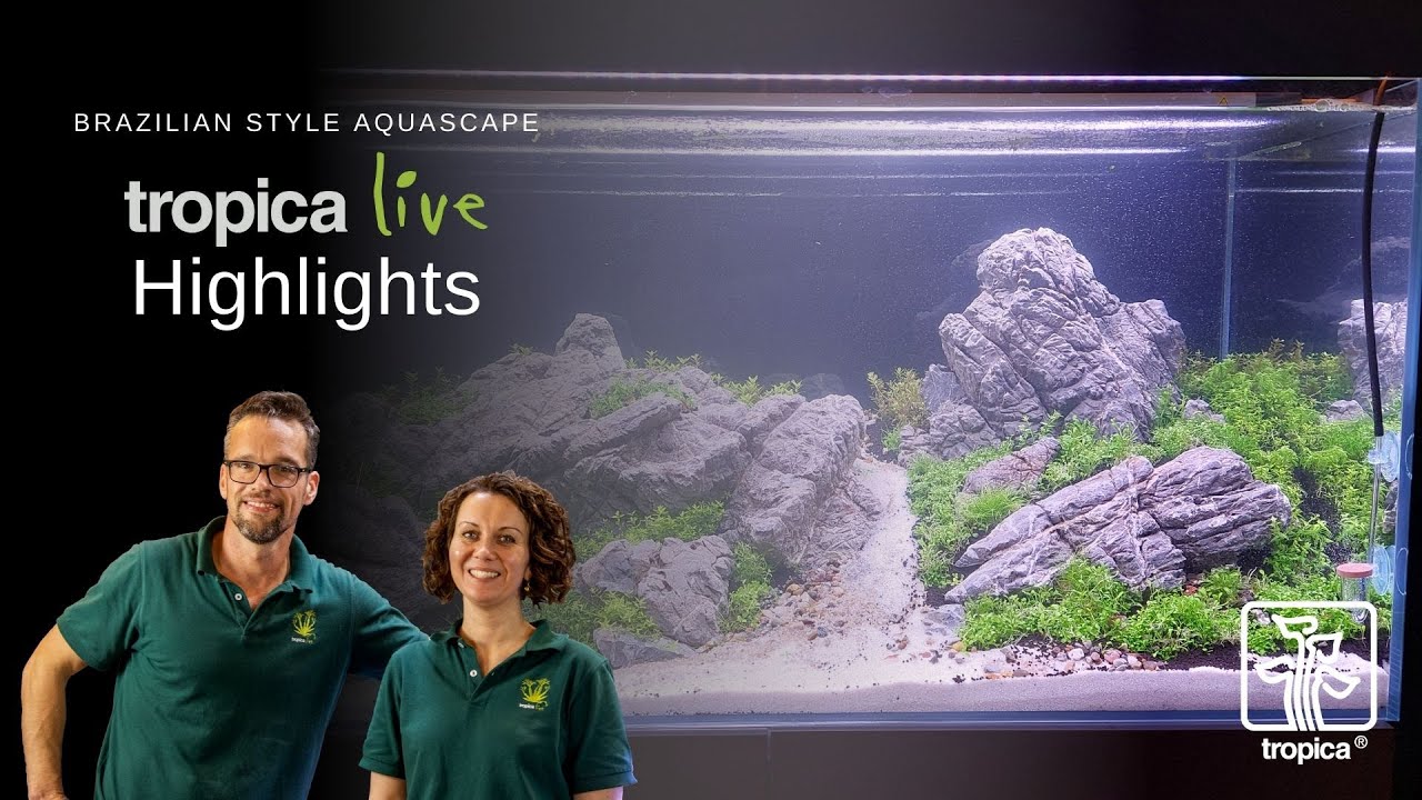 Aquascaping workshop | Brazilian Style | Highlights | Tropica Live