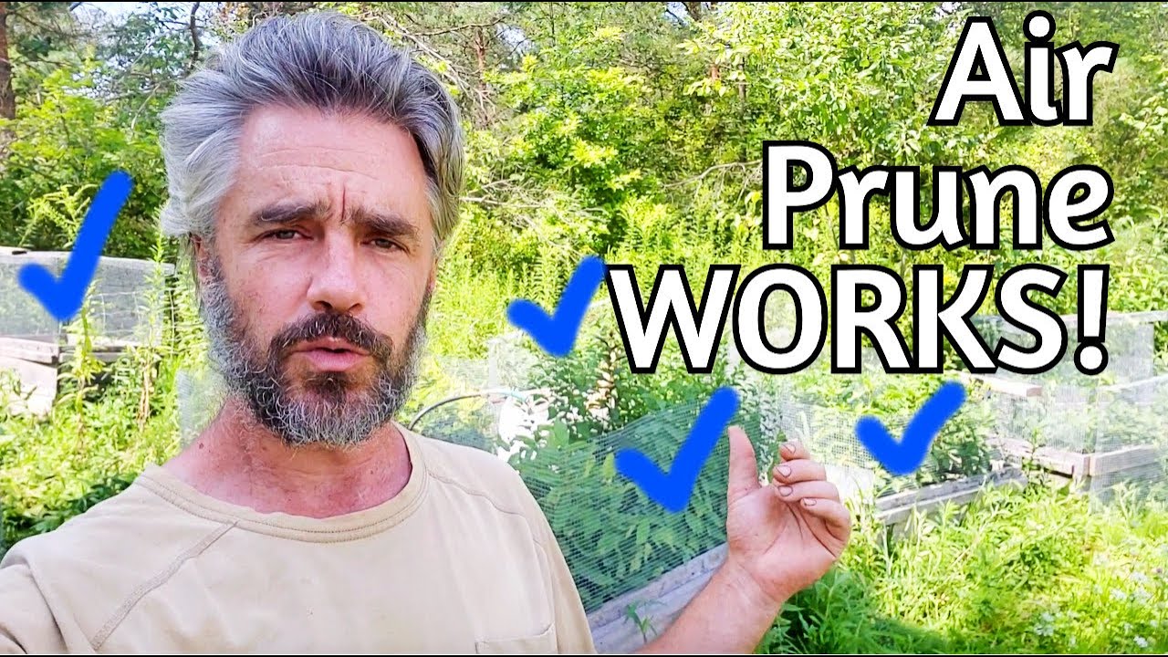 Air Prune Box Deep Dive!