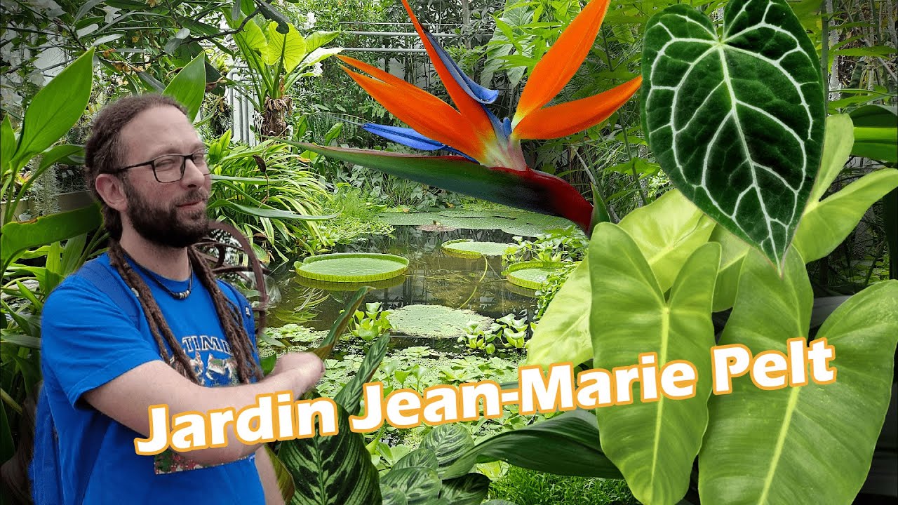 JARDIN Jean-Marie PELT (54) Hortus en balade Ep.5