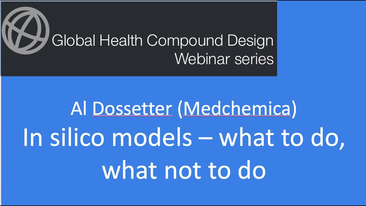 In Silico models what to do, what not to do