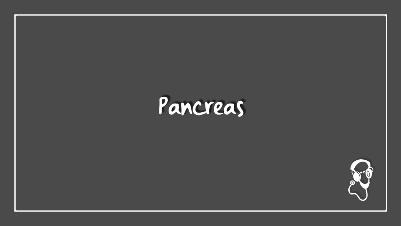 Pancreas