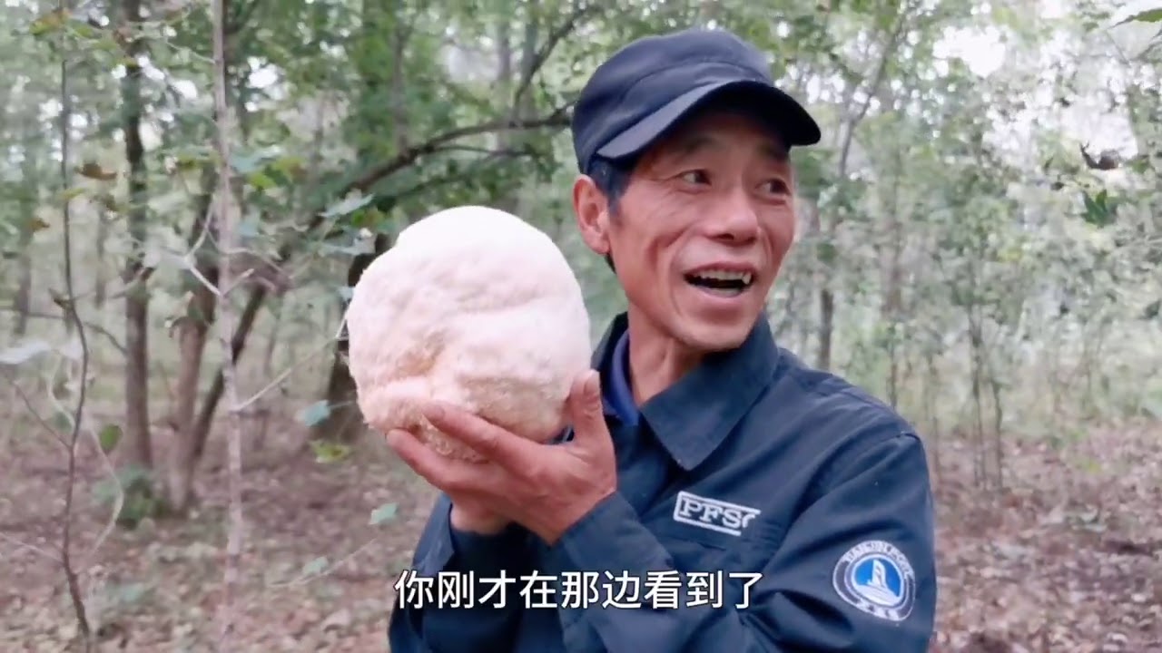 小刀採到2斤的大猴頭菇，爺倆今天上山能賺多少，以後打算橫著走