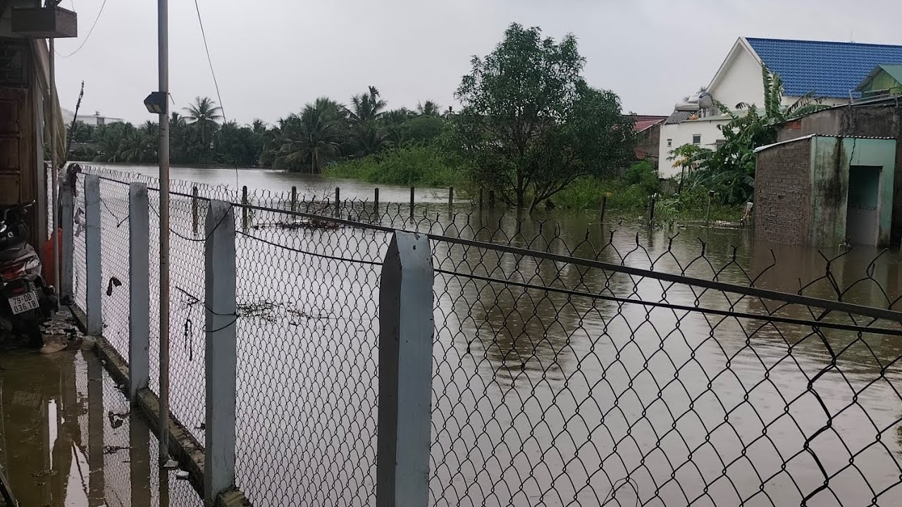 Thêm cây lụt thứ hai ở Khánh Hòa 