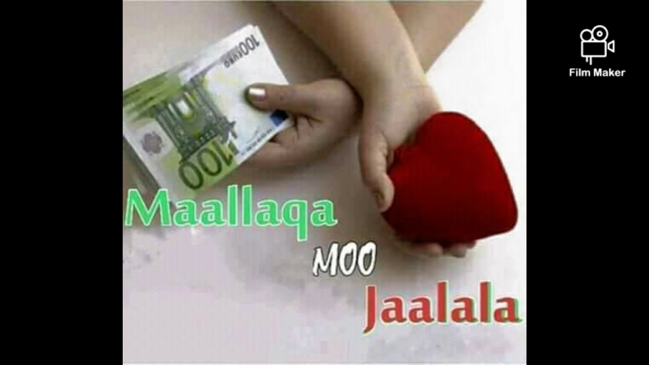 filanno jaarsaf jaarti keessatti gorsa shamarraniif tahuu