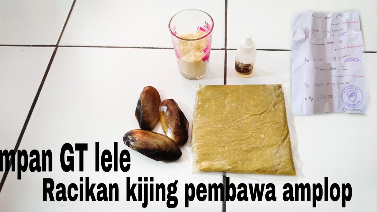 Hoki..!! Racikan umpan galatama lele dari kijing pembawa amplop