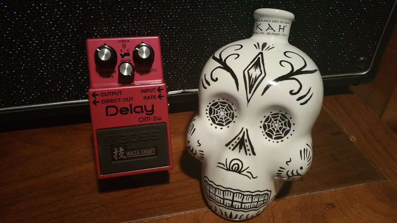 Boss DM-2w Waza Craft Delay