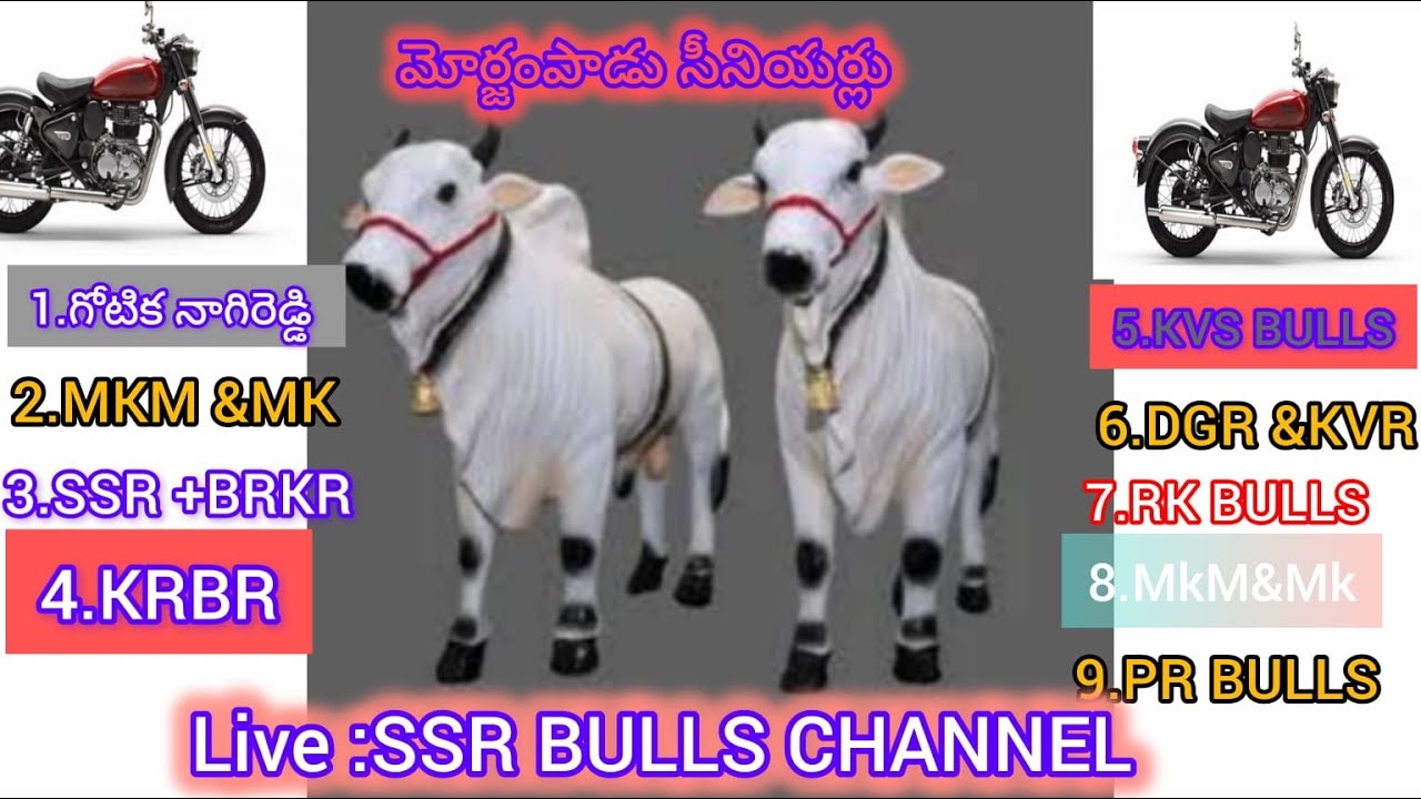 9జత మోర్జంపాడు senior PR MEMORIAL BULLS కుంచనపల్లి (హిట్లర్ &అకాండ)