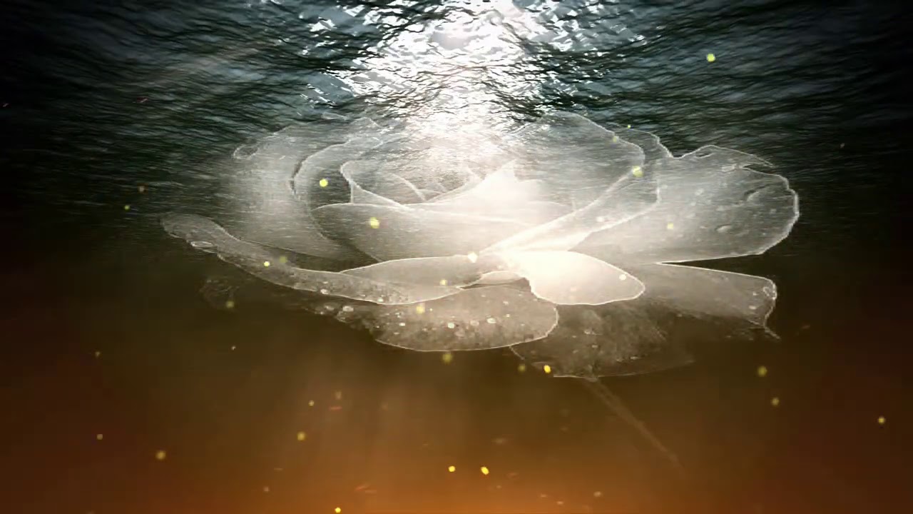 Moonlight Flower 月光之花 / Michael Cretu [中英歌詞 ]