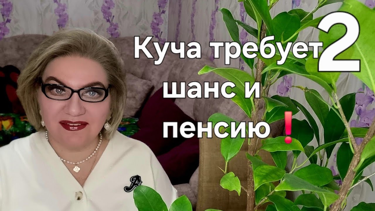 Куча требует шанс и пенсию❗️