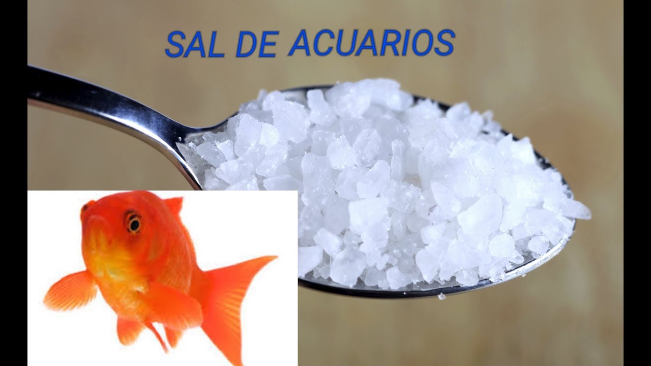 EL VERDADERO USO DE LA SAL EN ACUARIOS DE AGUA DULCE