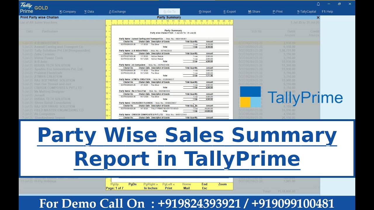 Party Wise Sales Summary Report in Tally Prime | Party Wise Sales Statement