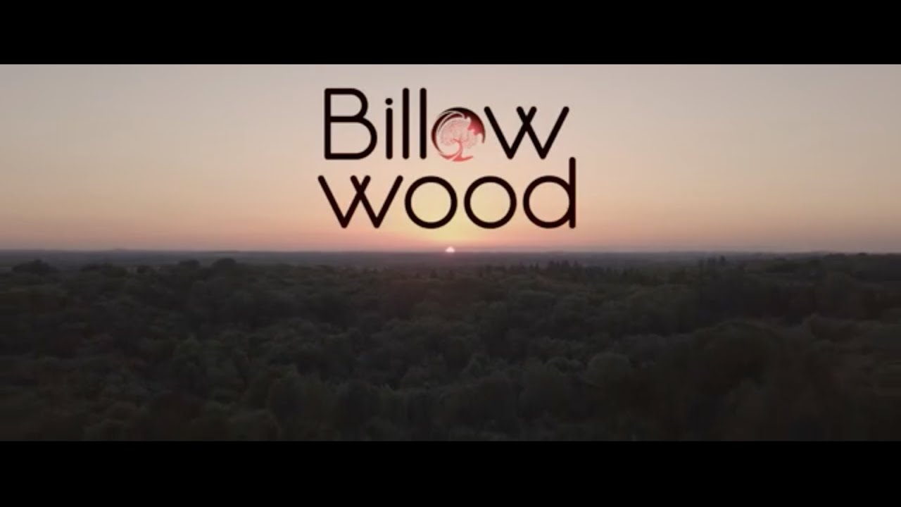 Billow Wood - Running From Wolf (Official Video)