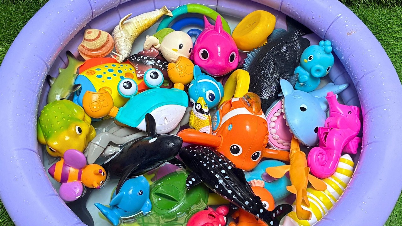 LEARN OCEAN ANIMALS AND FUN FACTS WITH TOYS: SEA ANIMAL PLAYTIME FOR KIDS