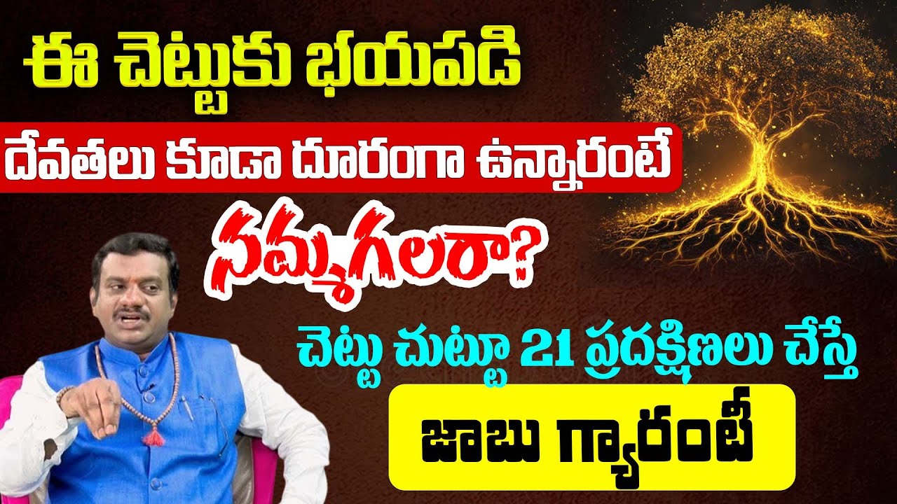 జాతకంలో ఏ దరిద్రమైన పోతుంది..C Chinta Rukmangada Rao @AnanthaSpiritualWorld