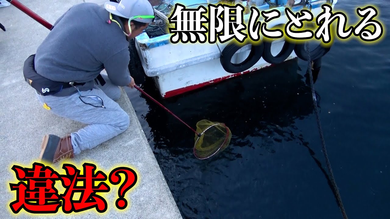 【衝撃】神堤防に来たら魚がタモですくい放題だった！！！！