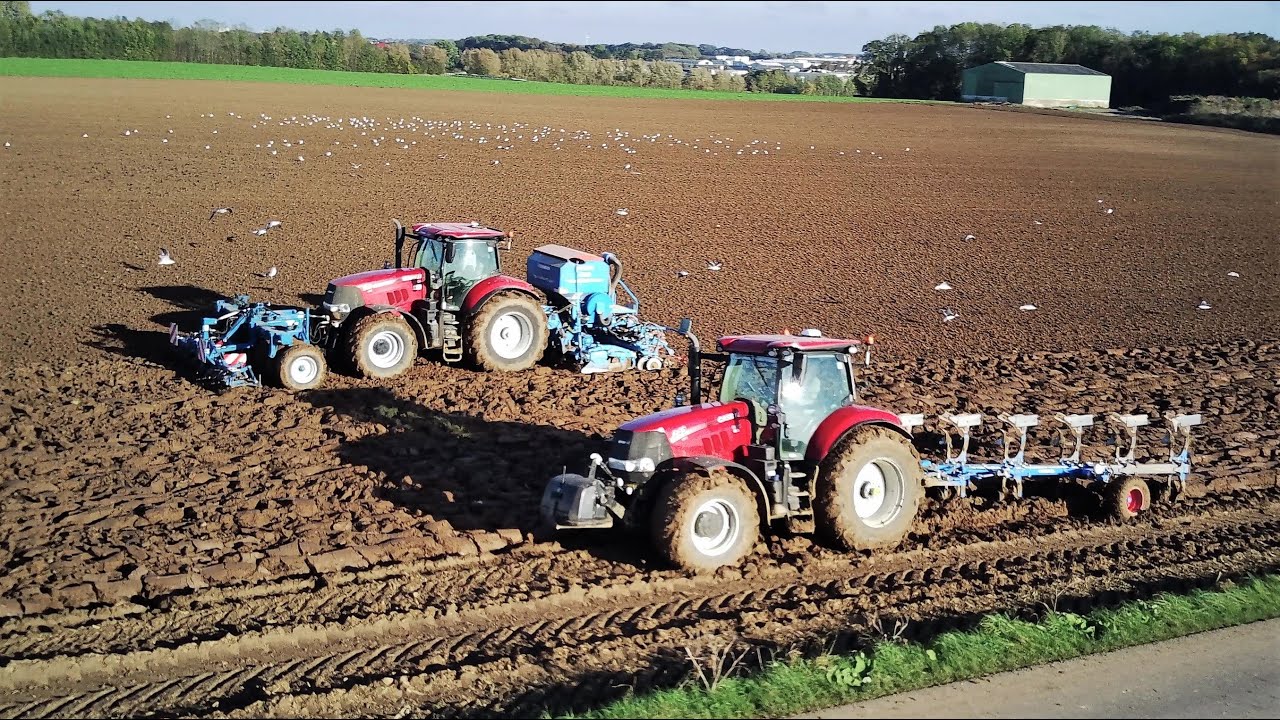 Duo de Case puma CVX 240 au semis de blé 2021 / Lemken charrue et solitair 9
