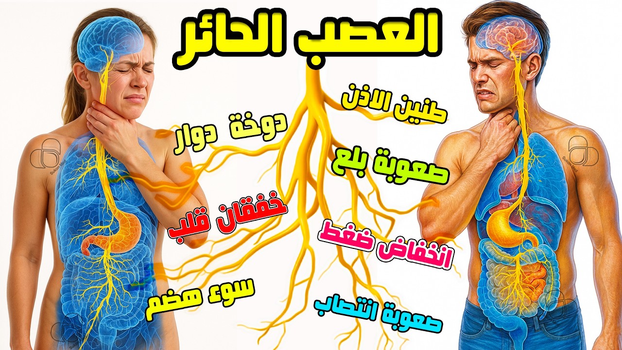 العصب الحائر || صعوبة البلع, طنين, هبوط الضغط, دوخة، قلق، سوء الهضم, ضعف جنسي