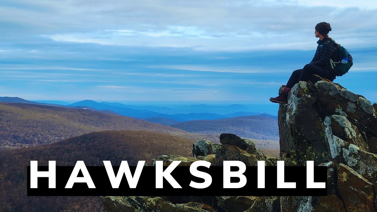 Hawksbill Summit Trail | Highest Point In Shenandoah National Park