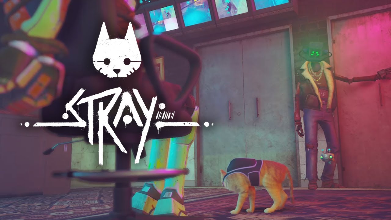 Stadtzentrum | Stray
