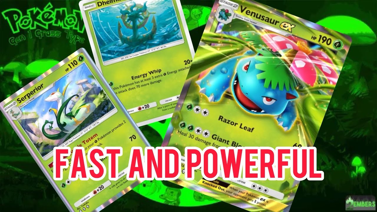 Best Venusaur EX Deck out there