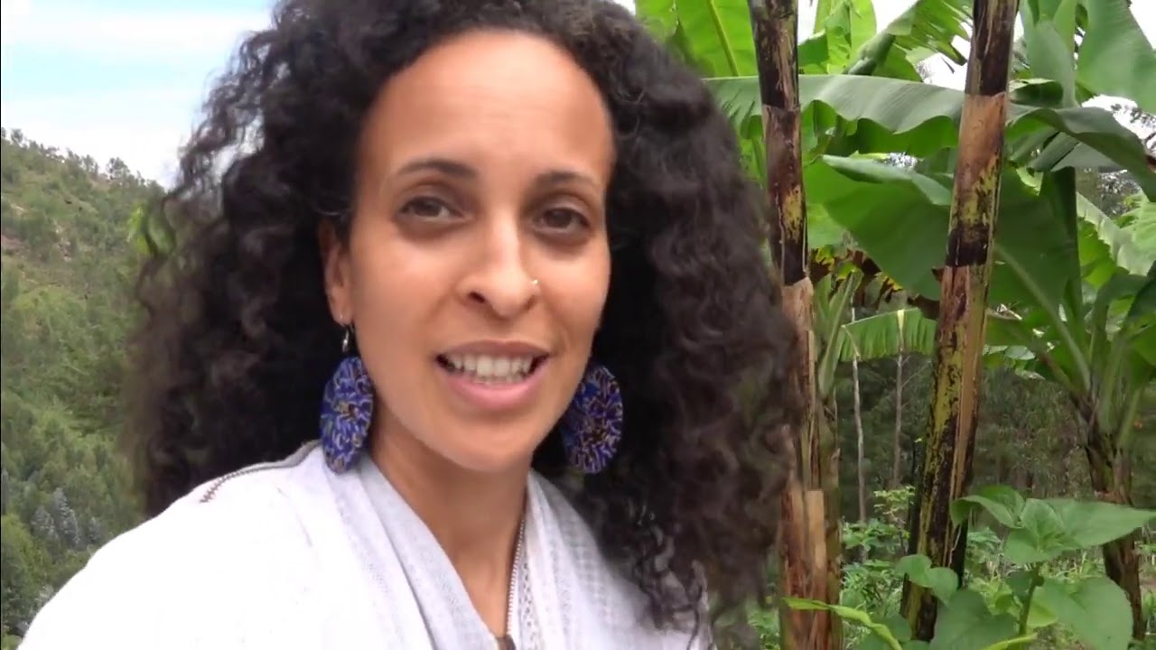 Small budget? How To Make Money with HONEY in your African Business