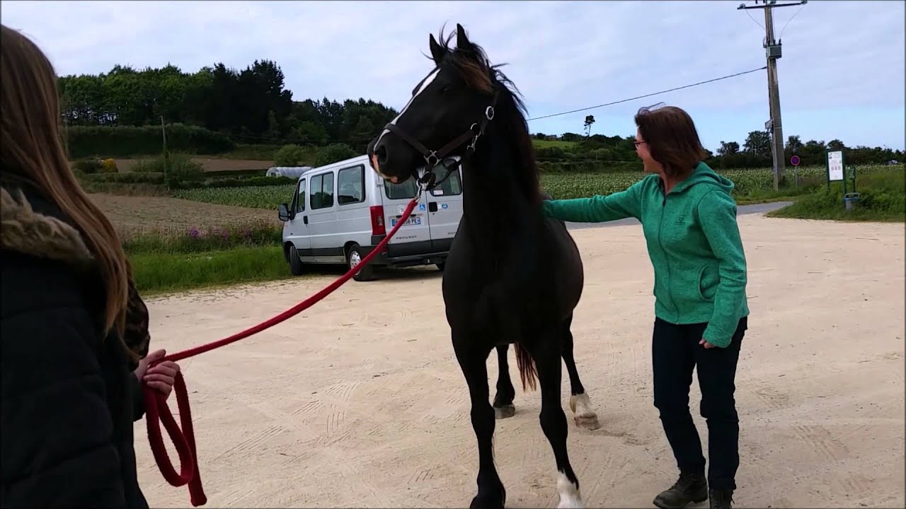 PONY'VLOG N°4 - AU REVOIR PONEY...