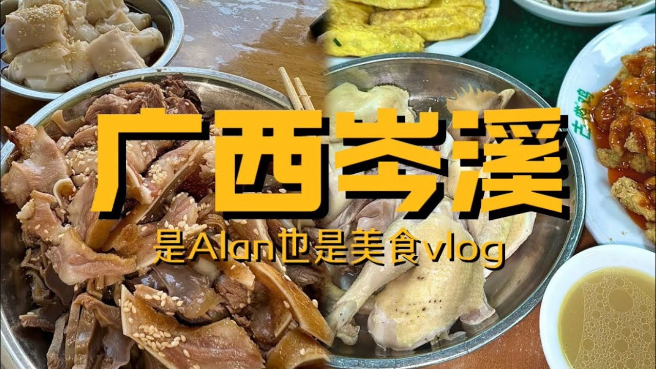 广西岑溪行之两天一夜美食vlog 终于来到岑溪 吃上了闻名已久古典鸡 只能说我能吃两只！还有久违的香口腩肉 嫩滑石磨粉 过瘾炒螺蛳粉 不说了又饿了