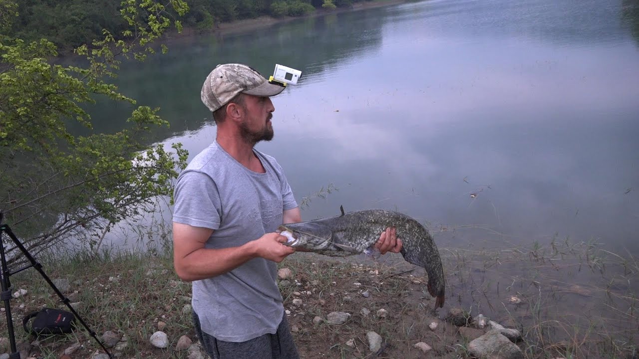 SAZAN YAYIN AVI YALOVA 2022 Carp Fishing Catfish Hunting