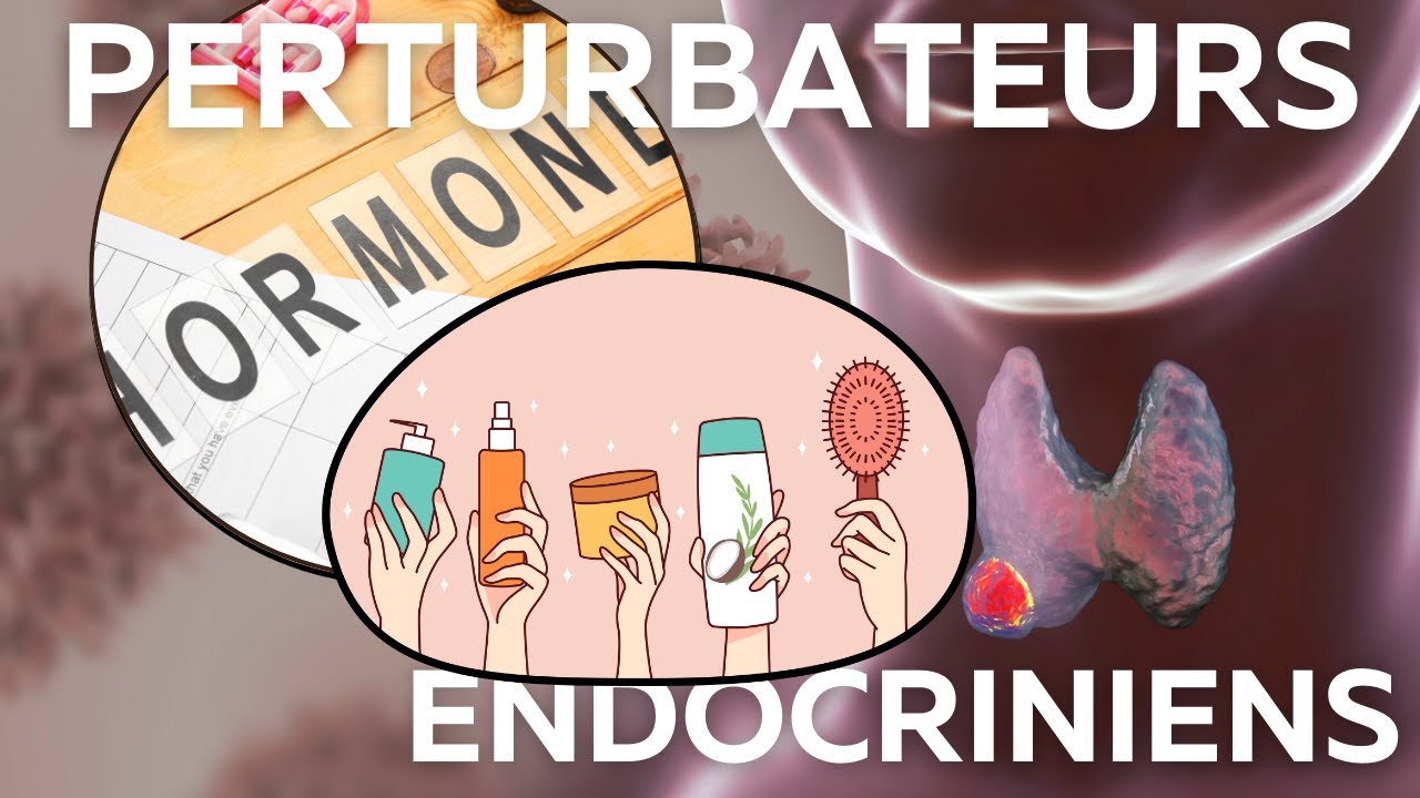 Comment éviter les perturbateurs endocriniens ?