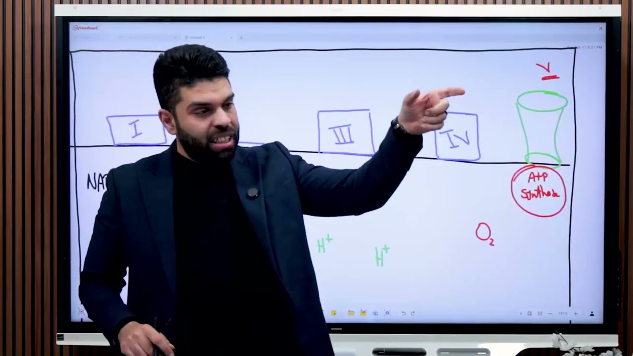 Lecture 2 : Bioenergetics of Dental Biochemistry part 2 