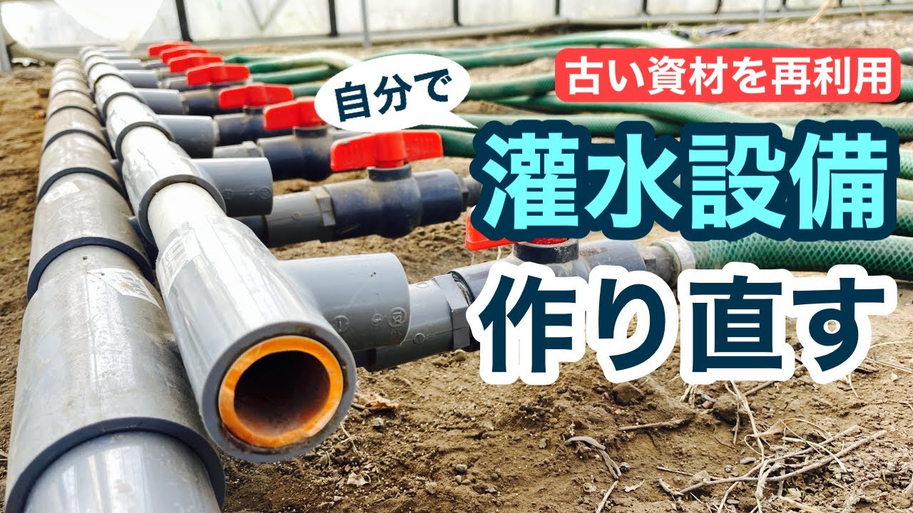 【ビニールハウス栽培】資材を再利用して灌水設備を新しくする