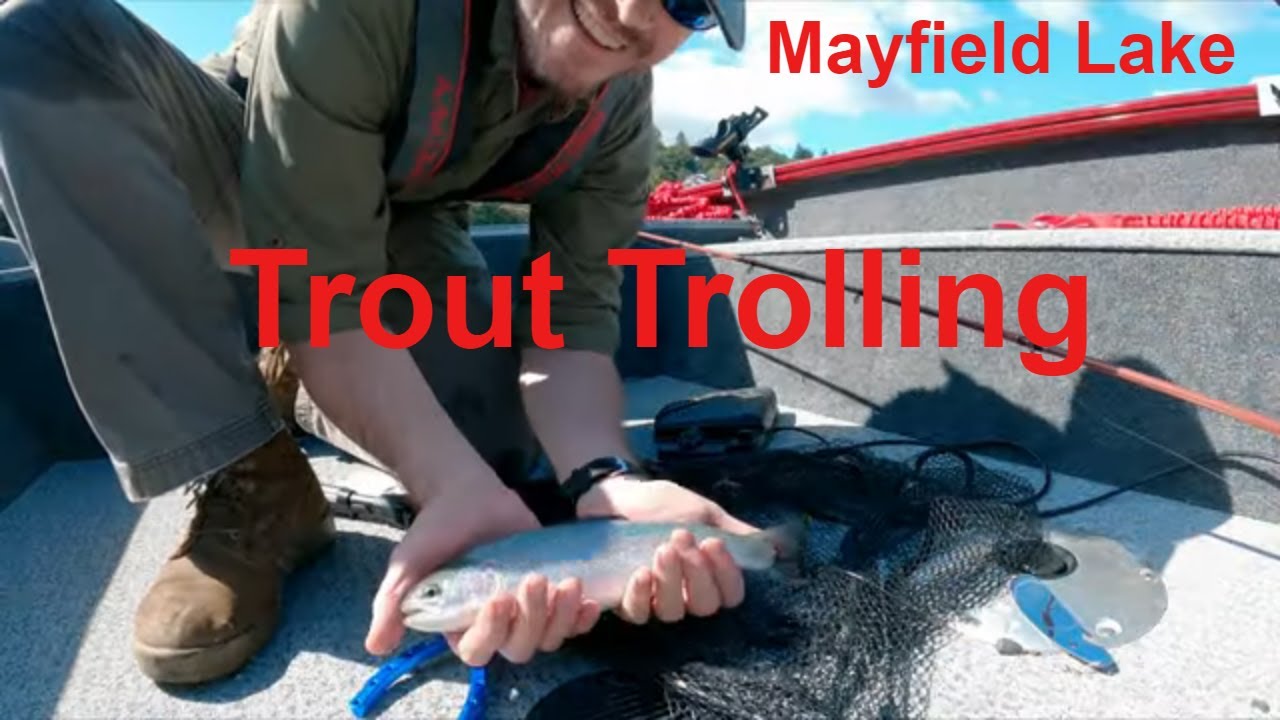 Mayfield Lake - Washington State Trout Fishing