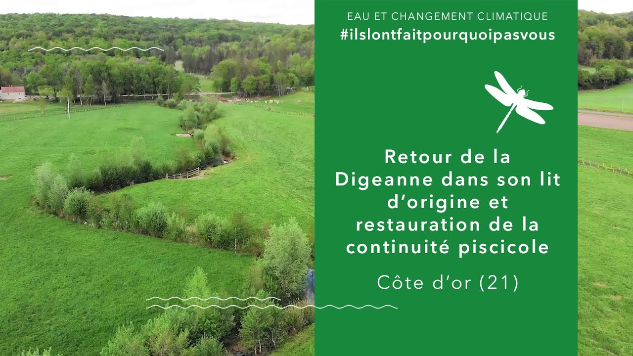 Retour de la Digeanne dans son lit et restauration de la continuité piscicole (sous-titrée)