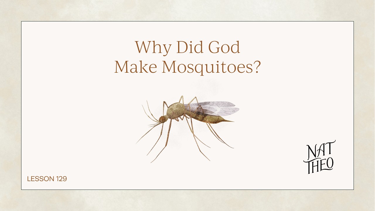 Why Did God Make Mosquitoes? Lesson 129