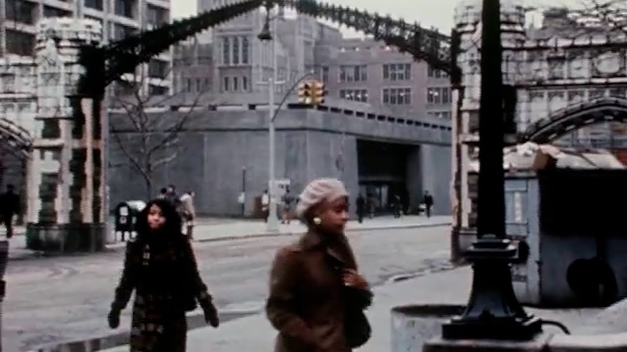 Sophie Davis Biomedical Education Program Turns 50 with CUNY Medicine Family