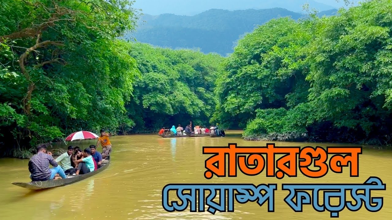 বাংলার অ্যামাজন রাতারগুল সোয়াম্প ফরেস্ট | Ratargul Swamp Forest