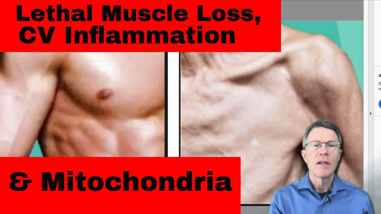 Lethal Muscle Loss, CV Inflammation & Mitochondria: the Nature Article - FORD BREWER
