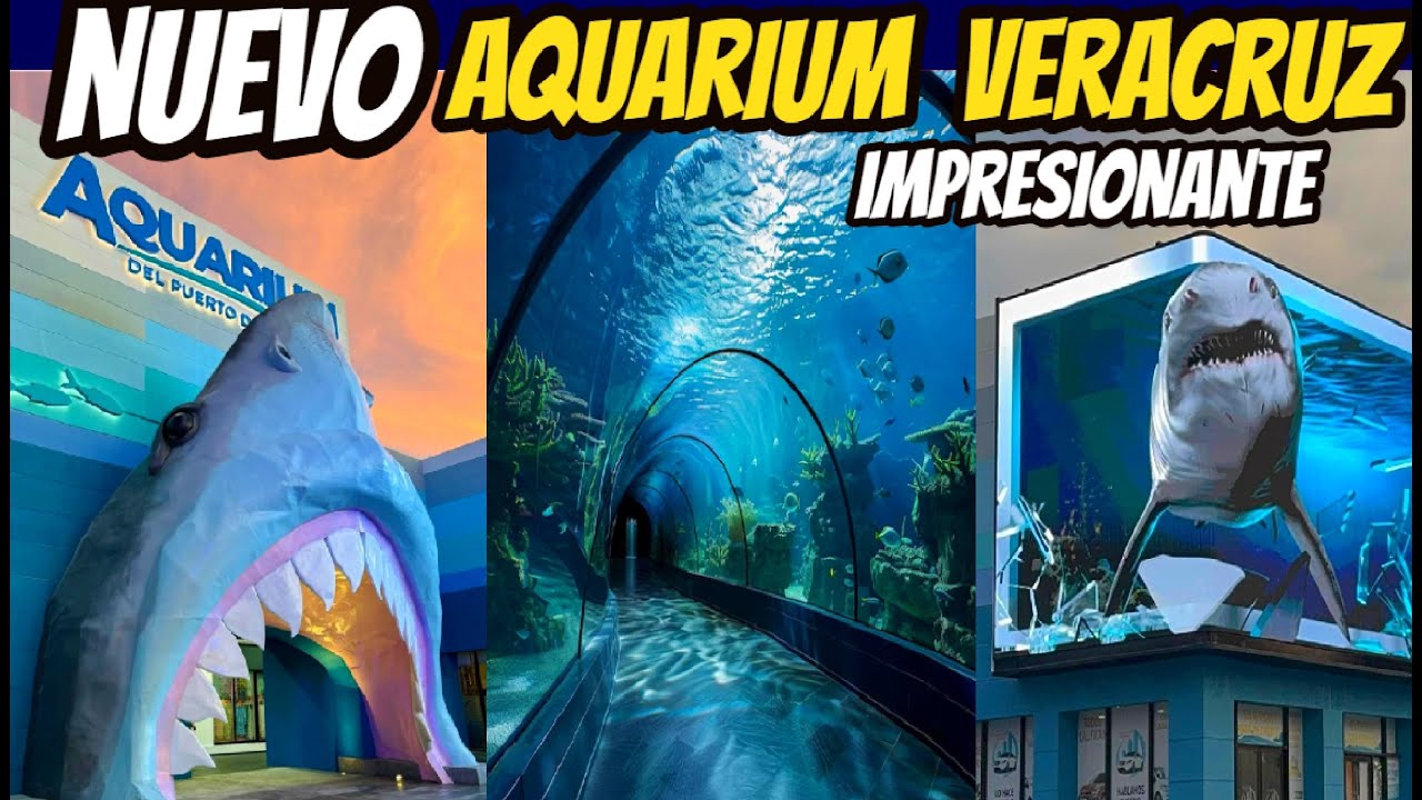Así es el NUEVO ACUARIO DE VERACRUZ, uno de los mas grandes Aquarium del Puerto de Veracruz México