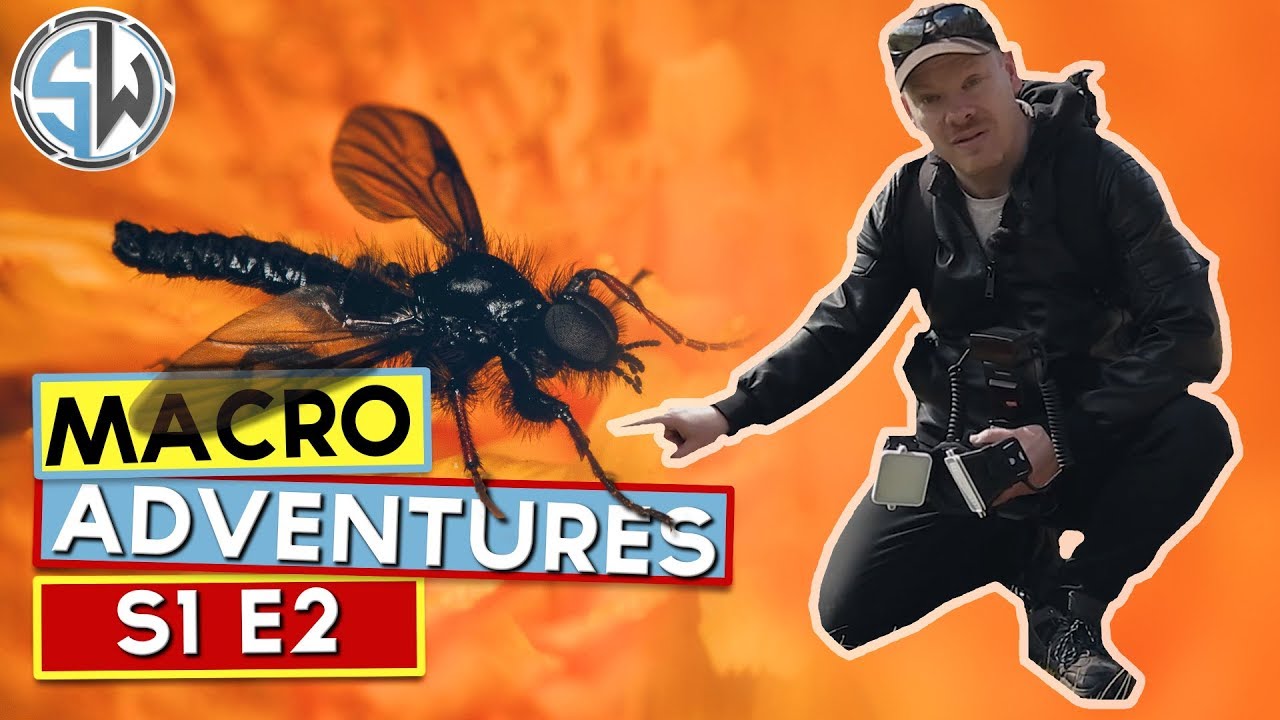 Macro Adventures | S1 E2