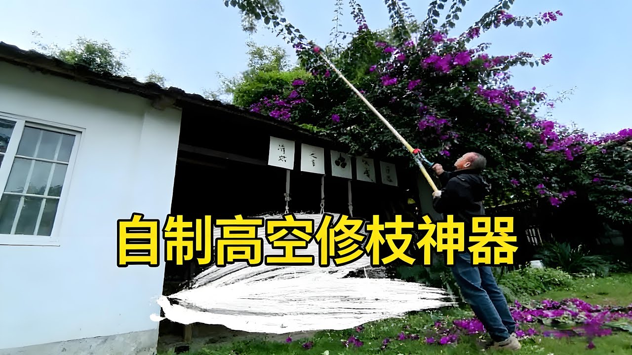 自製高空修枝神器Self made high-altitude pruning artifact