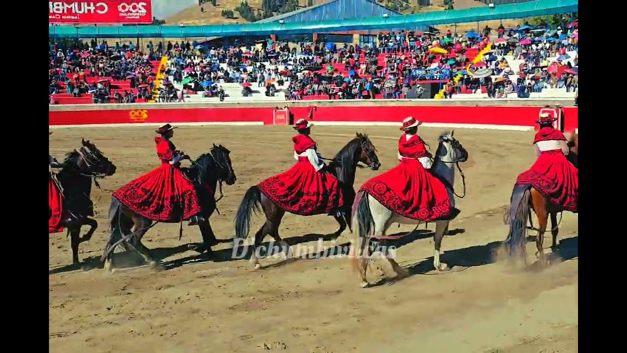 Amazonas de chumbivilcas (fiesta en  honor a la  Virgen de Natividad)2025
