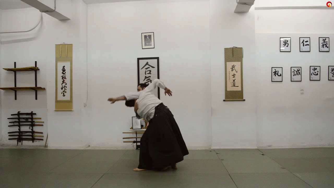 Aikido Aiki - dos & Aiki - don'ts part 3