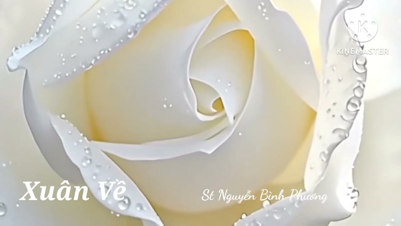 Xuân Về - Nhạc xuân - Nguyễn Bình Phương