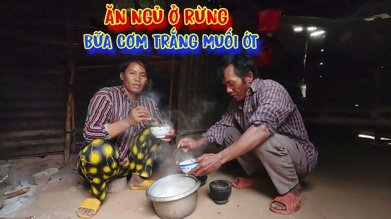 TẬN CÙNG của nỗi khổ, ăn CƠM với MUỐI ỚT, ở trong CĂN NHÀ mục nát - tập 1167