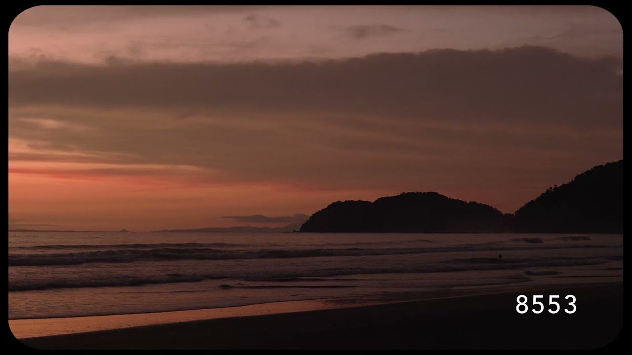 FilmConvert for Nikon Zr R3D NE