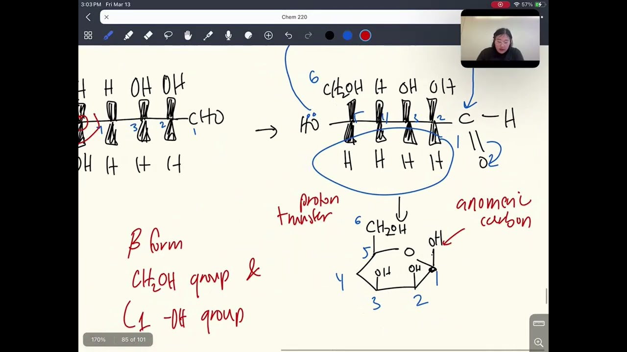 CHEM 220 Final Exam Review