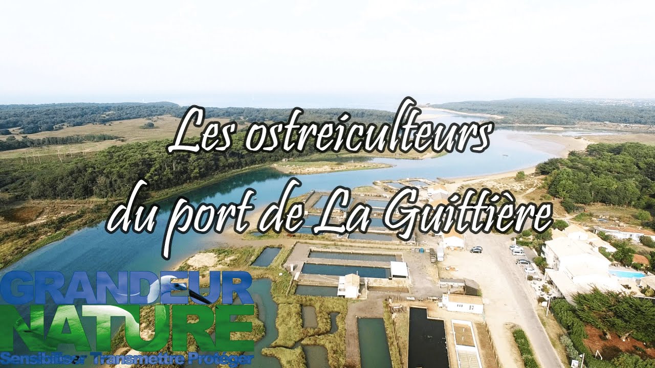 Les ostréiculteurs de la Guittière