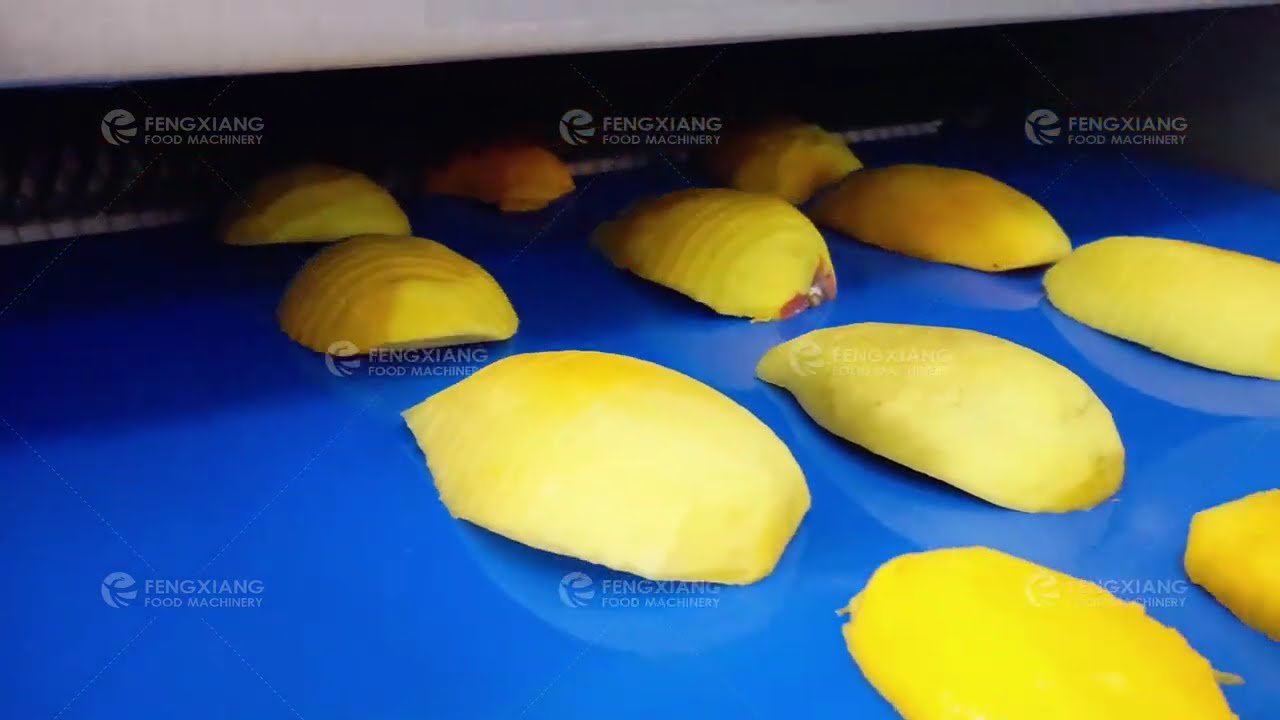 Automatic Mango Strip Cutting Machine Working | Fruit Processing Factory
