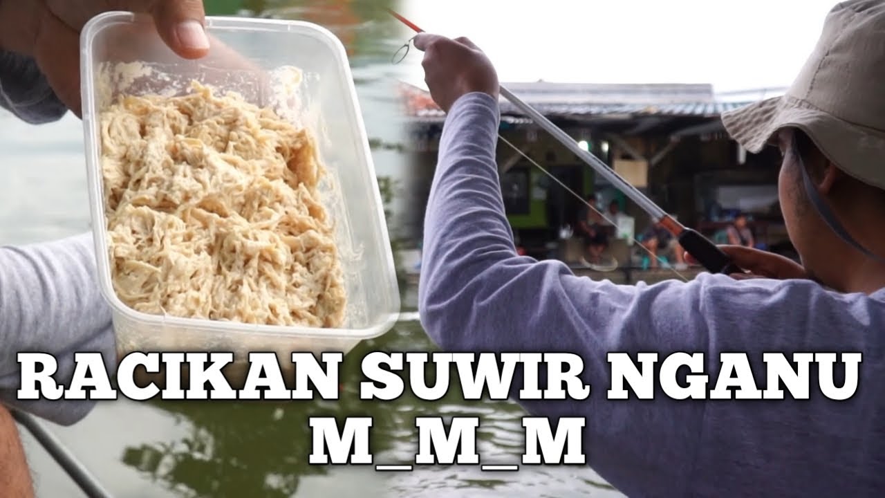 SUWIR AYAM BIKIN TETANGGA MANYUN TERUS BROO HAHAY !